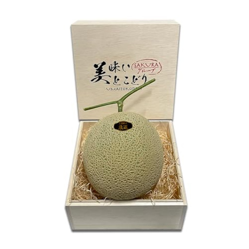 マスクメロン 1