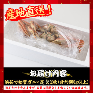 浜茹松葉ガニ足欠 3