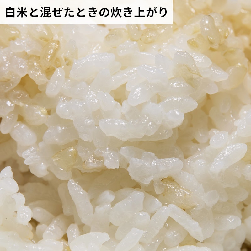 あきたこまち発芽玄米 7