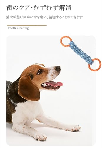 犬用おもちゃ 2