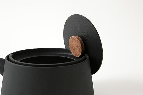 NEW tetu 南部鉄器 鉄瓶 4