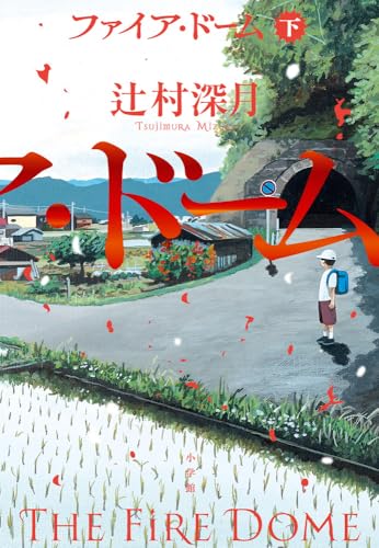 ファイア・ドーム 下 1