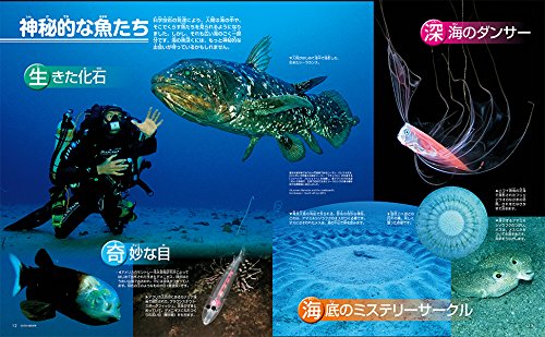 講談社の動く図鑑MOVE 魚 新訂版  4