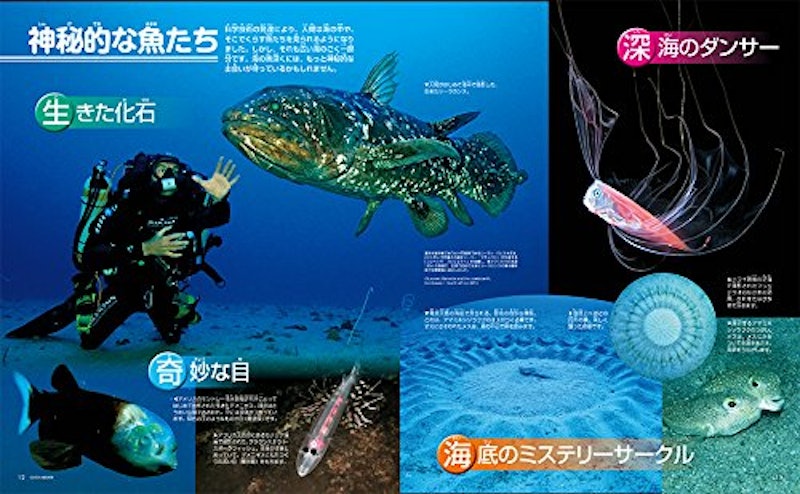 講談社の動く図鑑MOVE 魚 新訂版 4
