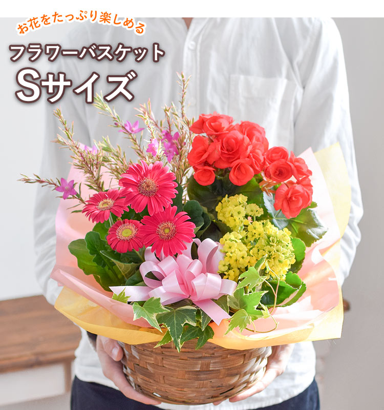 季節のおまかせ花鉢とグリーンの寄せ入れ 2
