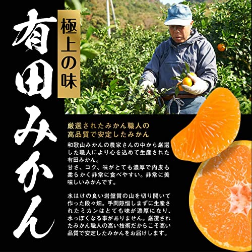 有田みかん 訳あり 3