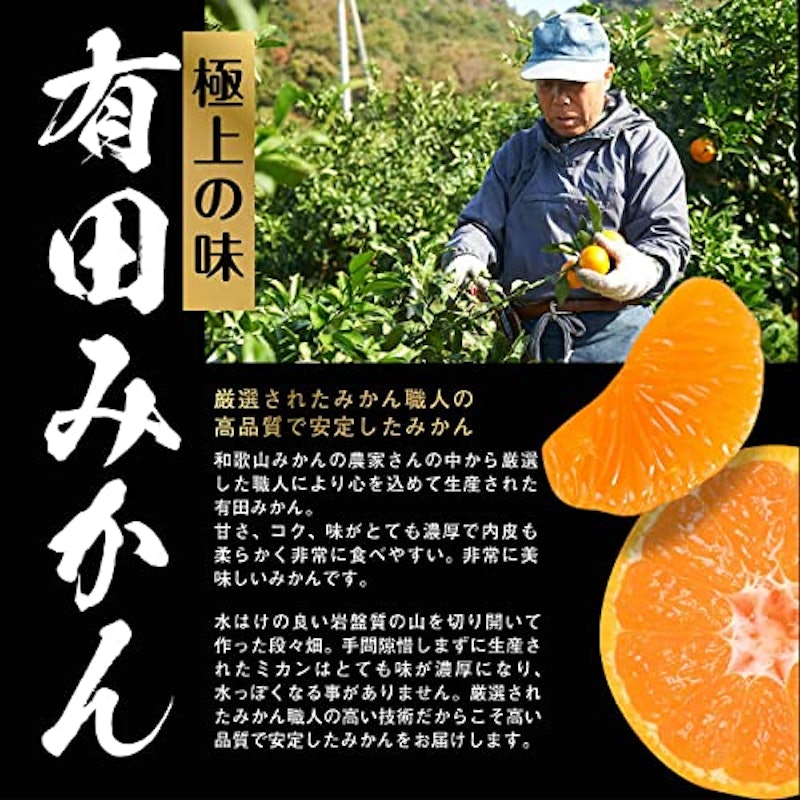 有田みかん 訳あり 3