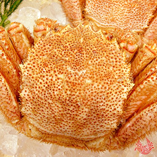 毛蟹 2