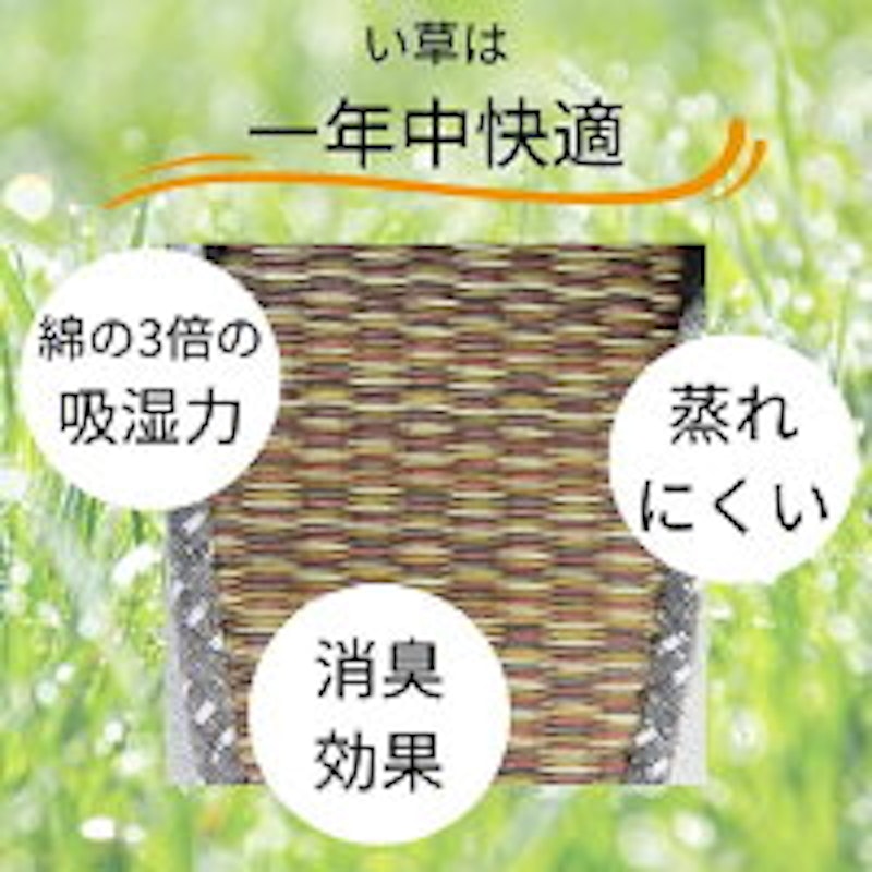久留米織い草スリッパ 2