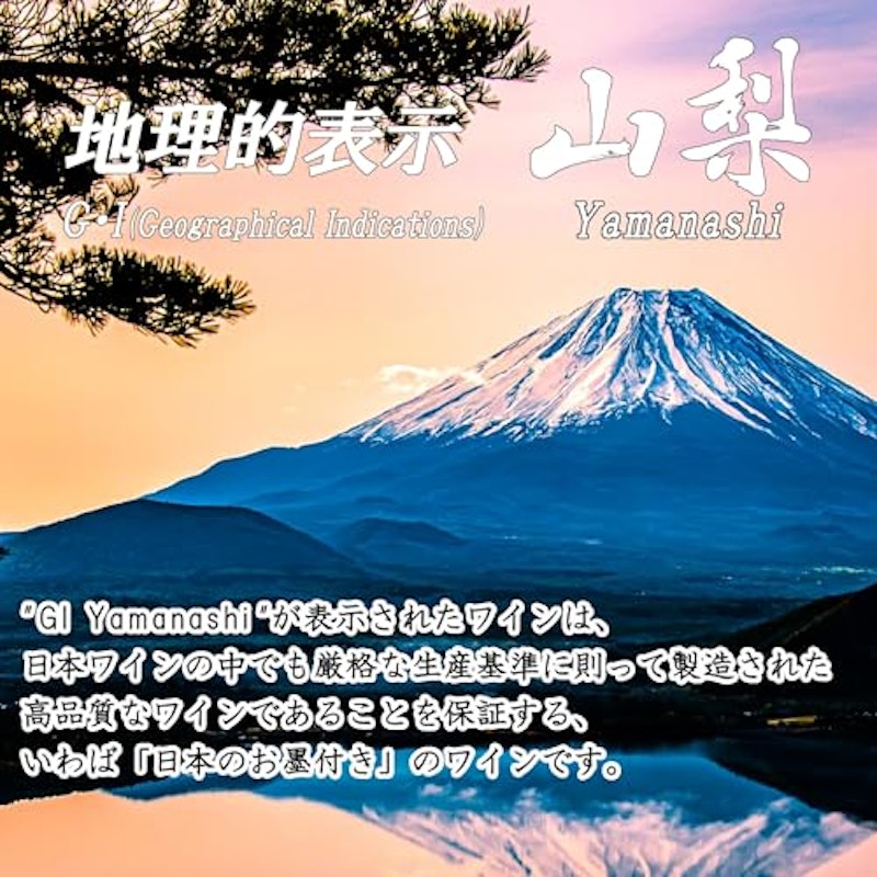 シャンモリ GI山梨 甲州 5