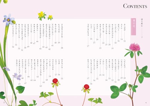 散歩でよく見る花図鑑 4