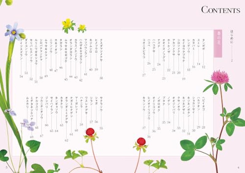 散歩でよく見る花図鑑 4