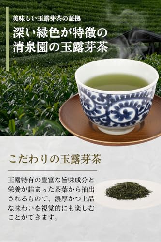 急須で入れるティーバッグ 玉露芽茶 3
