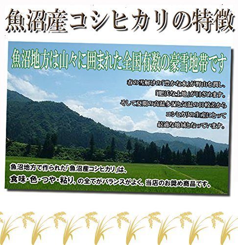 魚沼産コシヒカリ 2