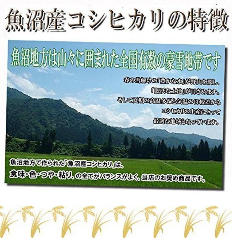 魚沼産コシヒカリ 2