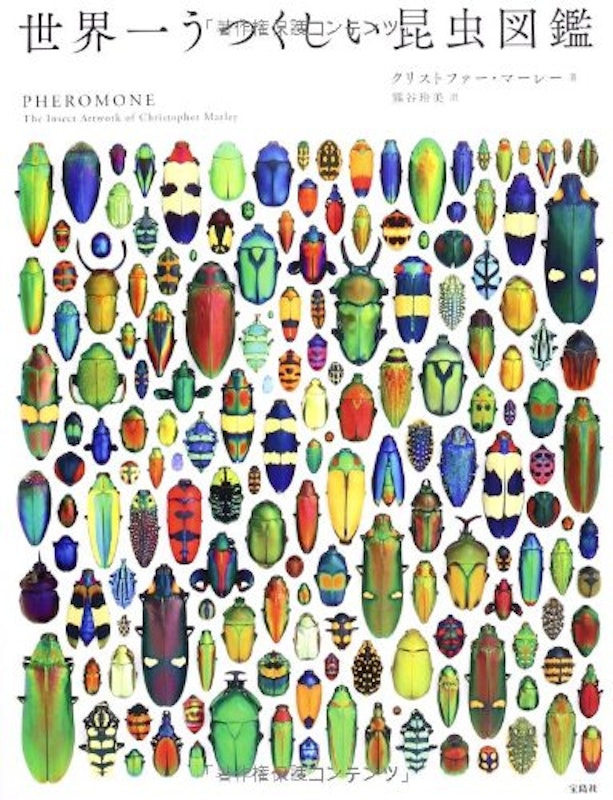 世界一うつくしい昆虫図鑑 1