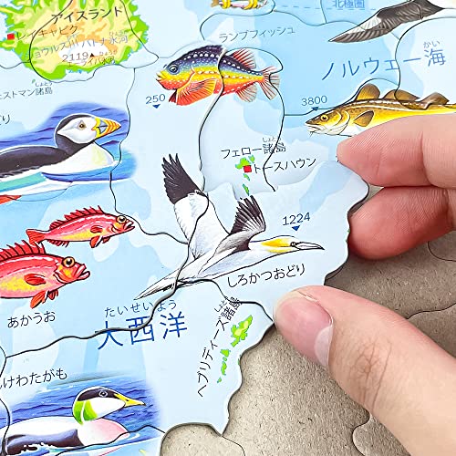 世界地図パズル 4