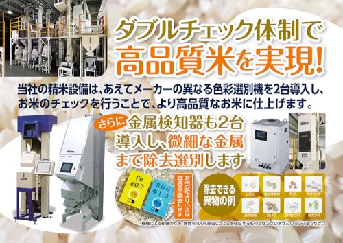 ミルキークイーン 2