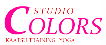 STUDIO COLORS 1