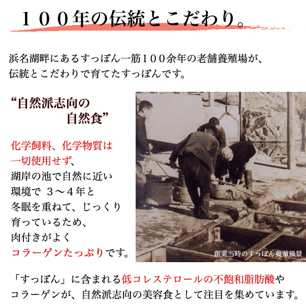 すっぽん鍋セット 4
