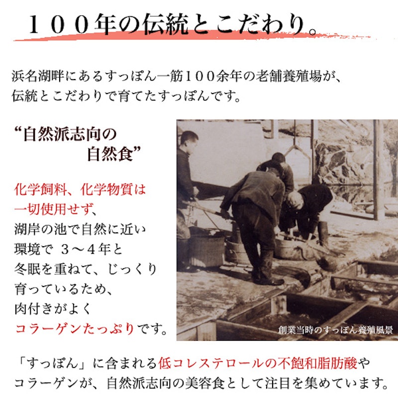 すっぽん鍋セット 4
