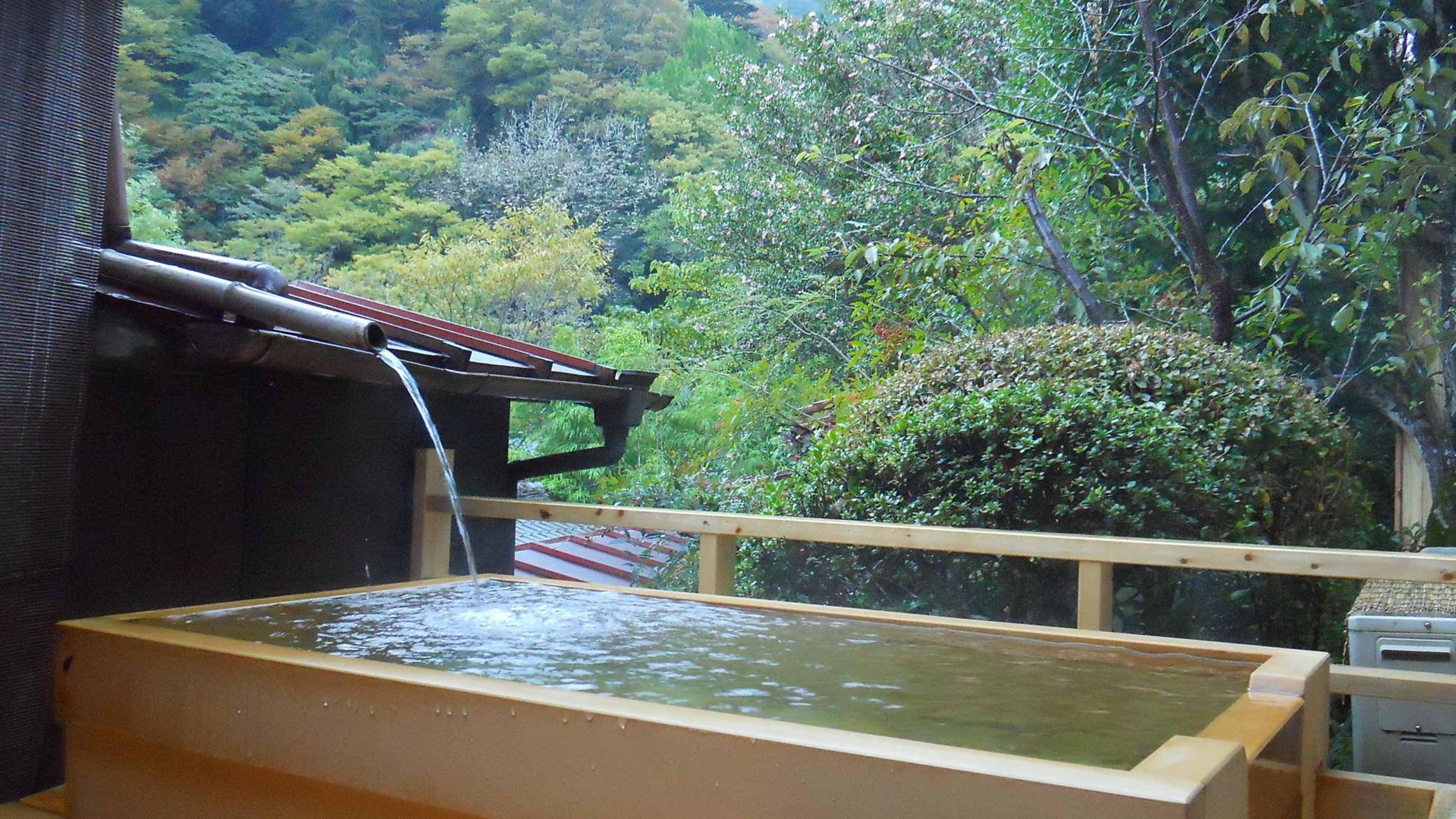 源泉かけ流しの湯 御宿さか屋 2