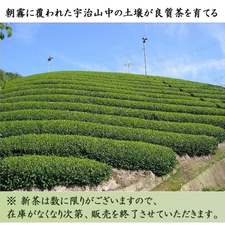 新茶ギフト 母の日の造花とカード付き 5