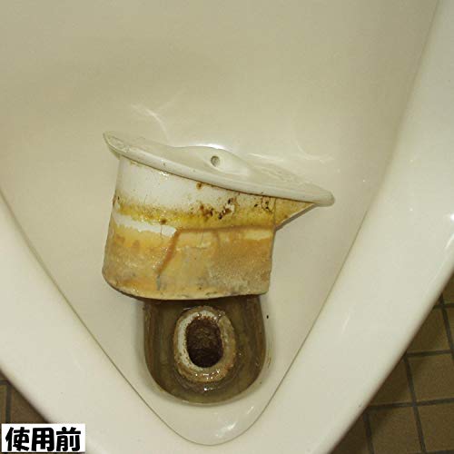 トイレ尿石黄ばみとりG 4