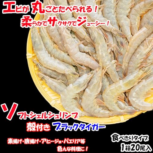 ソフトシェルシュリンプ 4
