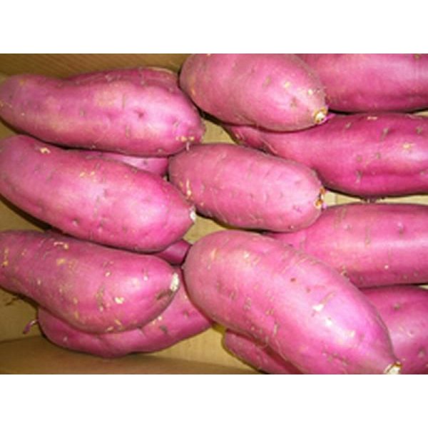 21年 お取り寄せさつまいものおすすめ人気ランキング10選 Mybest