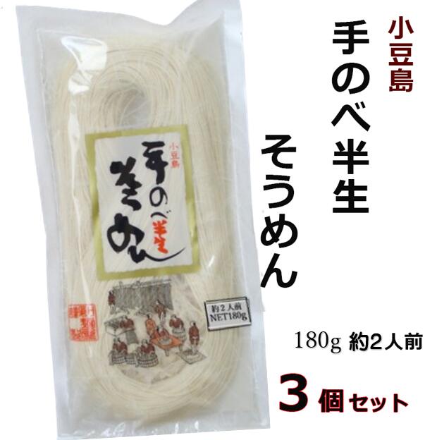 半生麺・手のべ半生そうめん 1
