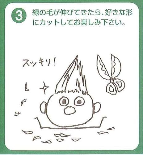イタリアンライグラス（牧草）の楽しい栽培キット のび～るくん 7