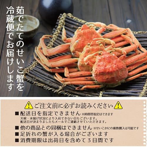 浜茹で 越前セイコガニ 6