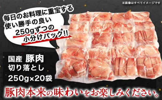 国産豚肉切り落とし5kg ラッキーセット 2