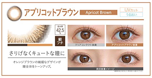 ワンデー ナチュラル アプリコットブラウン 2