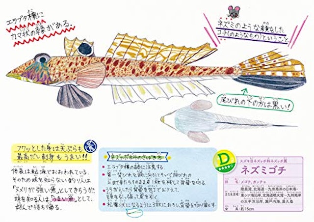 21年 魚図鑑のおすすめ人気ランキング15選 Mybest 21年 魚図鑑のおすすめ人気ランキング15選 Mybest