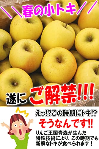 青森県産 トキ 2