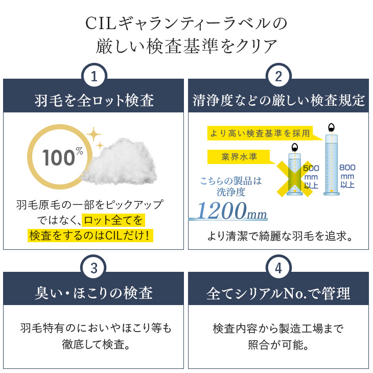 美の羽毛 12