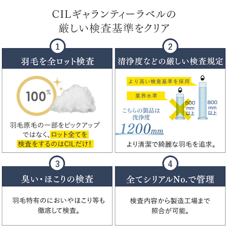 美の羽毛 12