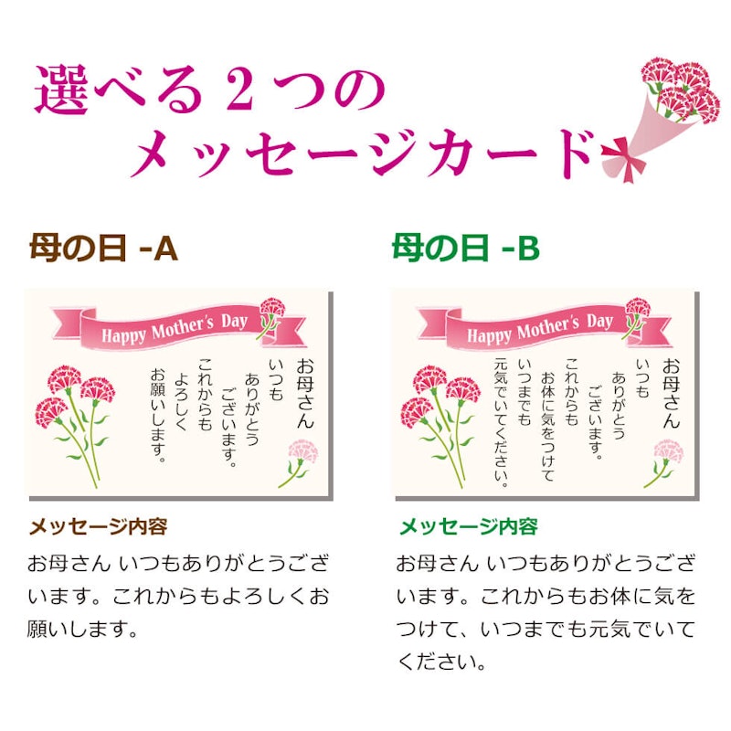 わが家のちゃぶ台 新茶静岡茶2袋セット 3