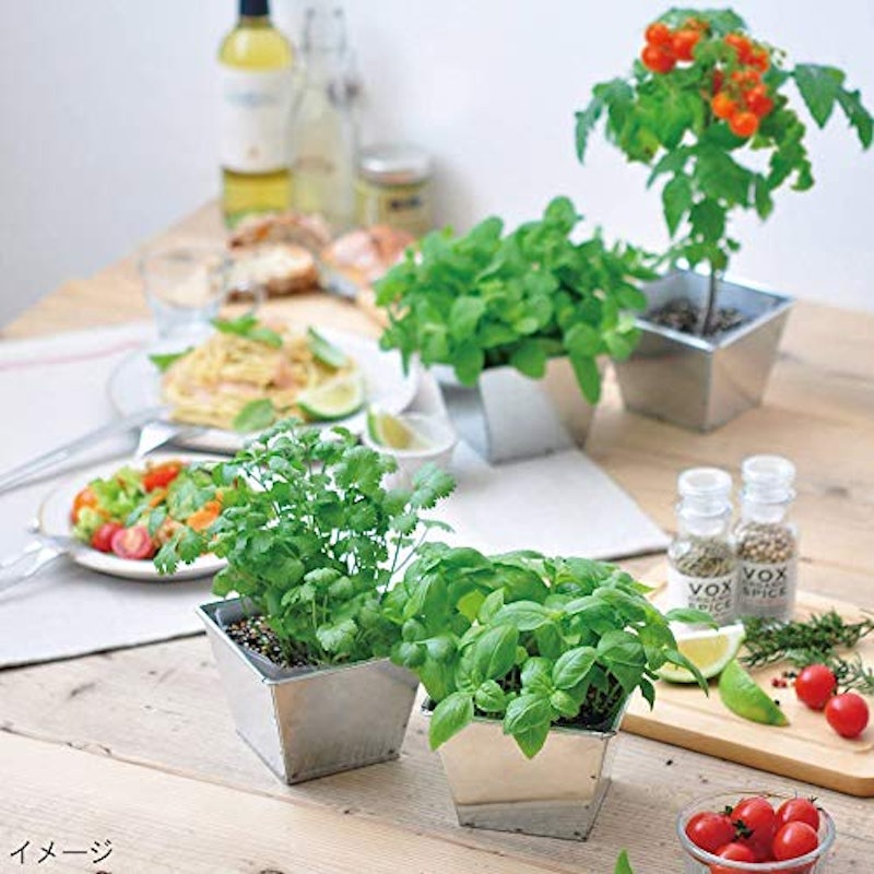 21年 ハーブ初心者向け栽培キットのおすすめ人気ランキング10選 Mybest 21年 ハーブ初心者向け栽培キットのおすすめ人気ランキング10選 Mybest