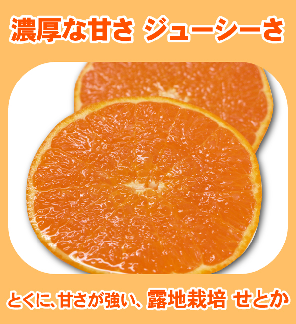 せとか 3