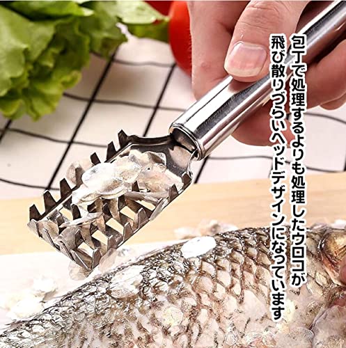 うろこ取り 4