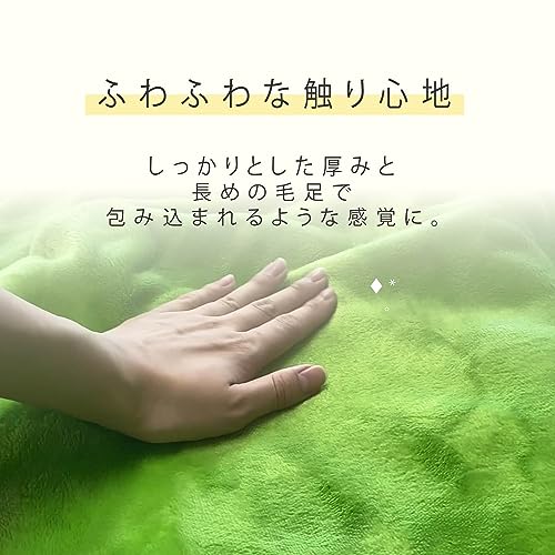 電気毛布 2
