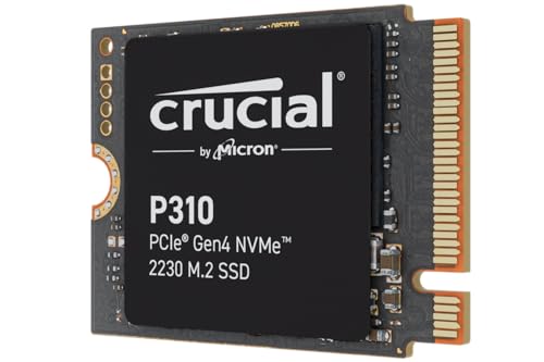 P310 2