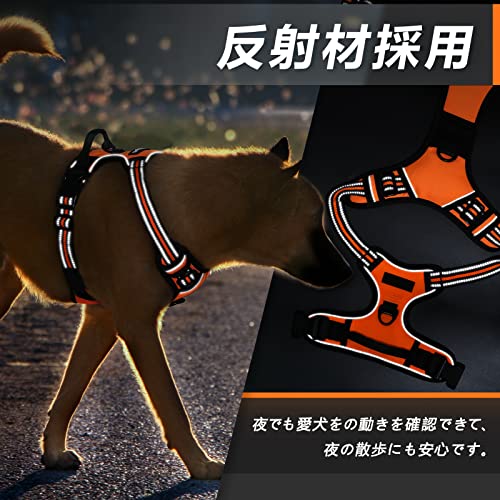 ハーネス 7