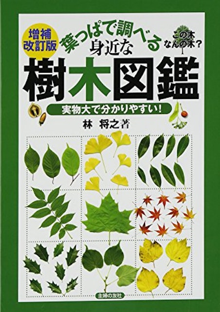21年 樹木図鑑のおすすめ人気ランキング10選 Mybest 21年 樹木図鑑のおすすめ人気ランキング10選 Mybest