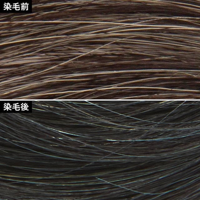 徹底比較 白髪染めヘアマニキュアのおすすめ人気ランキング10選 Mybest 徹底比較 白髪染めヘアマニキュアのおすすめ人気ランキング10選 Mybest