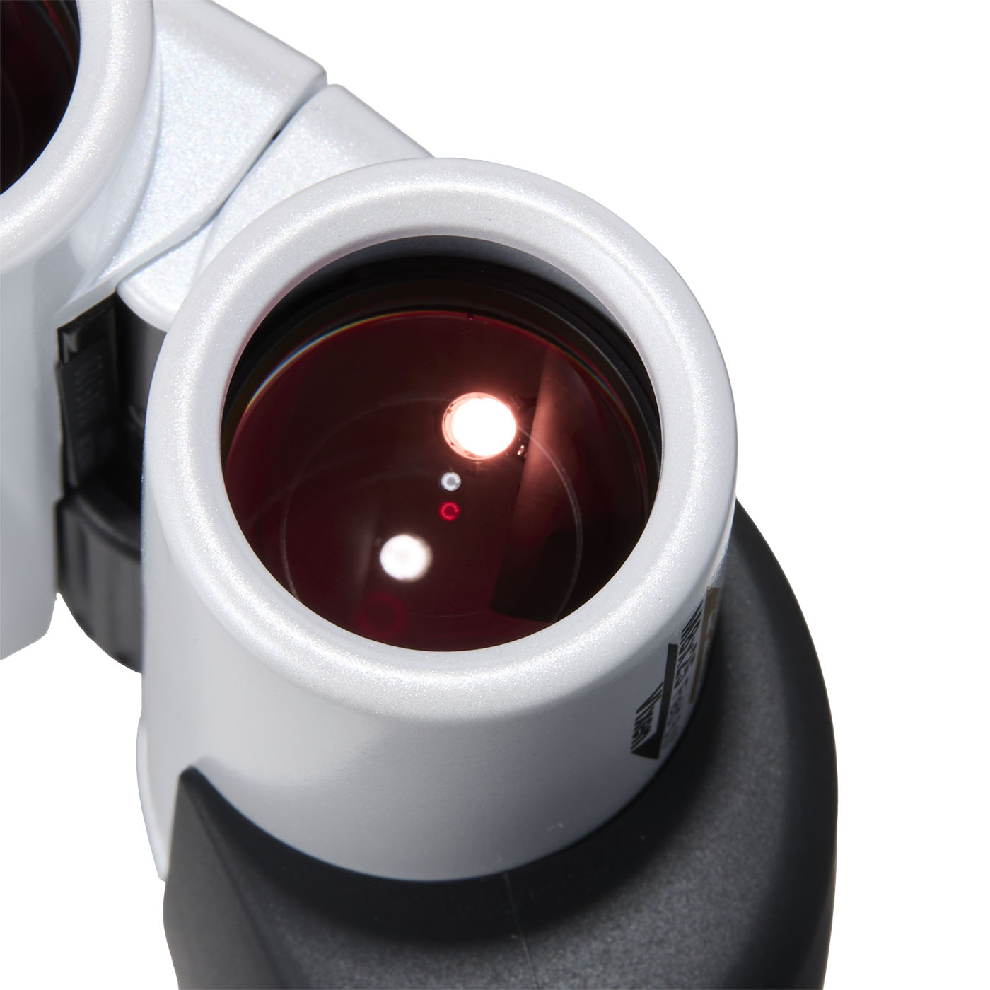 アリーナスポーツ M 8x25をレビュー！クチコミ・評判をもとに徹底検証