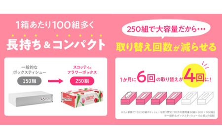 スコッティティシューフラワーボックス 3